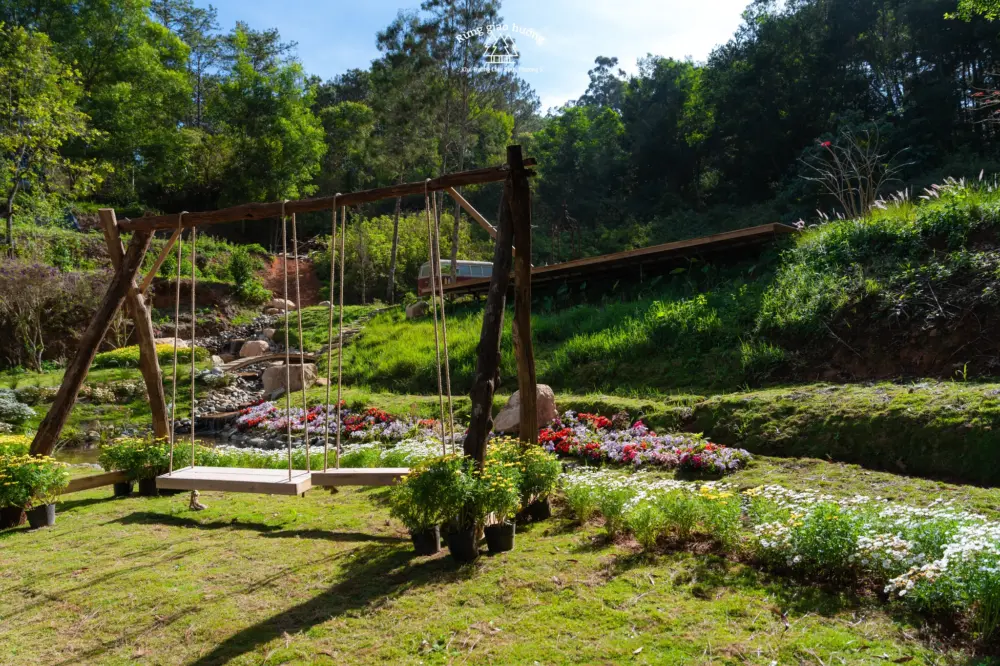 rung giao huong da lat ban nhac khong loi giua rung thong 6