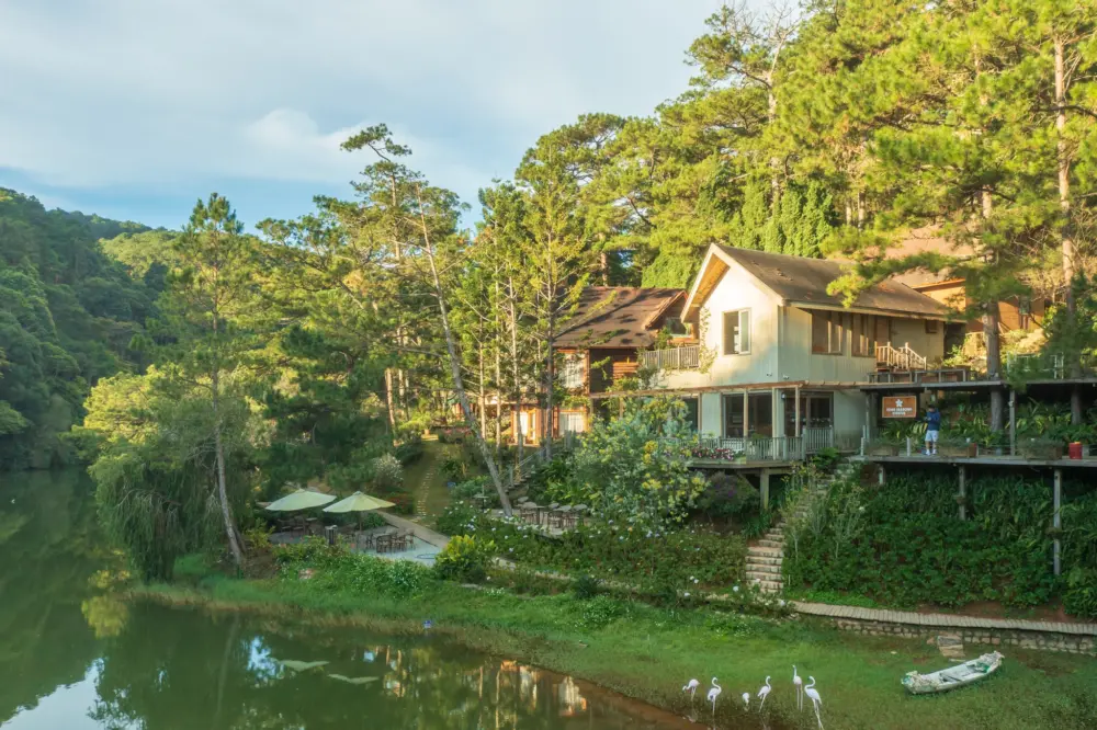 rung giao huong da lat ban nhac khong loi giua rung thong 8