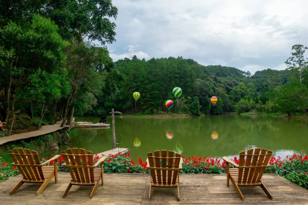 rung giao huong da lat ban nhac khong loi giua rung thong 9