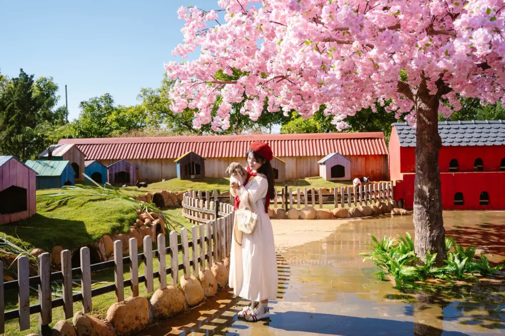 Thiên Minh Đà Lạt – Chạm vào nét Á Đông giữa rừng thông Tà Nung 9 thien minh da lat cham vao net a dong giua rung thong ta nung 1