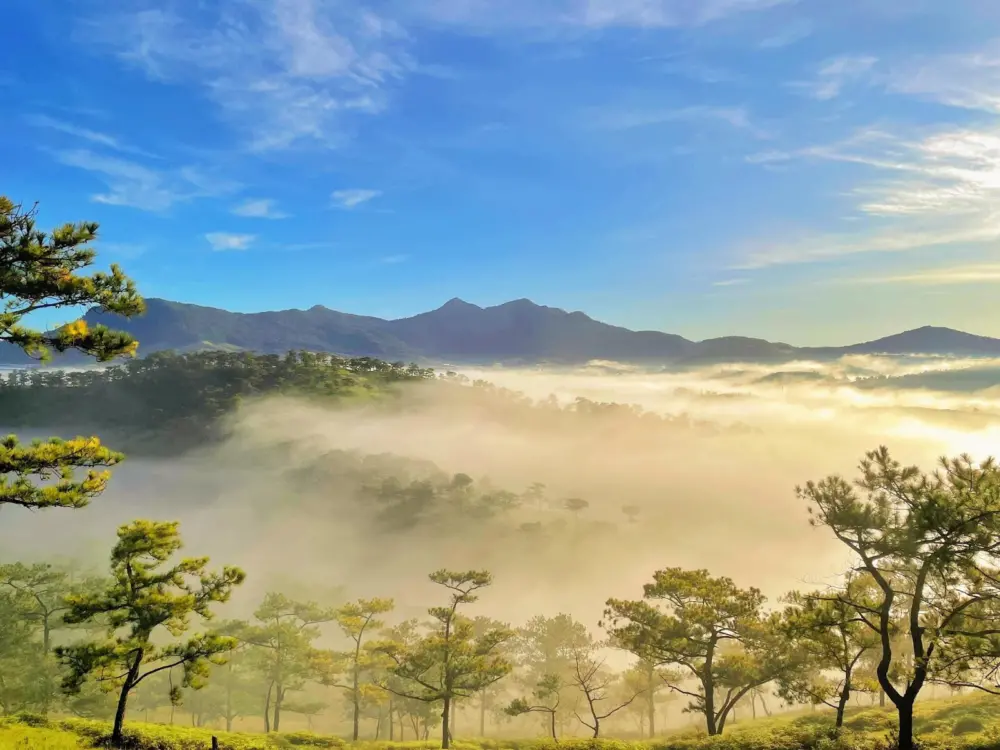 Du lịch Đà Lạt tự túc cần chuẩn bị những gì? 2 du lich da lat tu tuc can chuan bi nhung gi 3