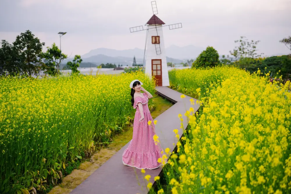 Những mùa hoa đặc trưng của Đà Lạt trong tháng 3 và kinh nghiệm chụp ảnh đẹp 5 nhung mua hoa dac trung cua da lat trong thang 3 2