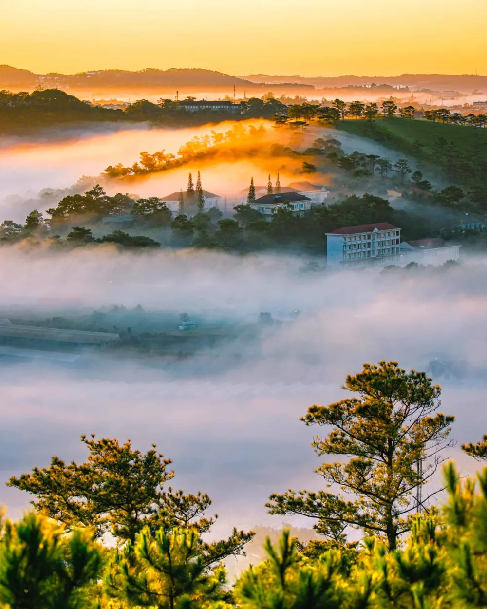 thang 3 da lat phan 1 1