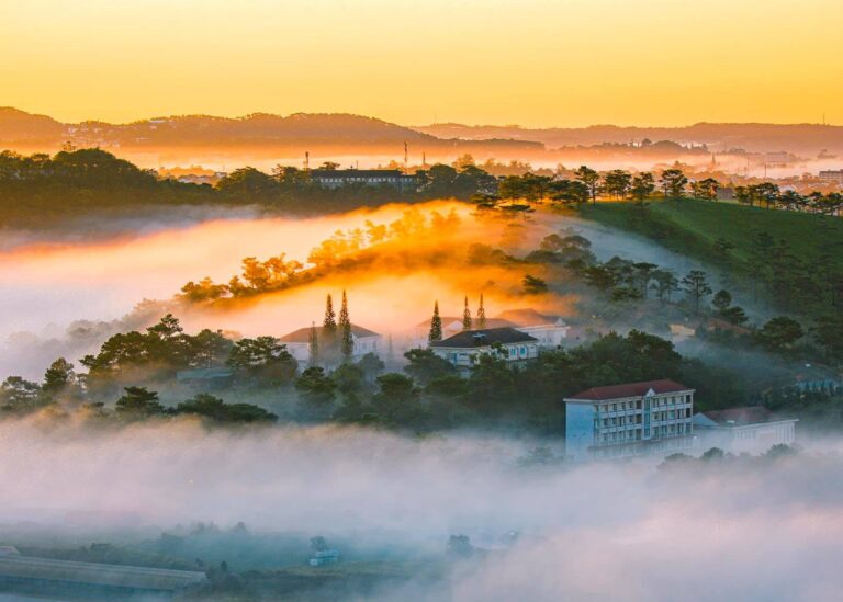 Tháng 3 Đà Lạt (phần 1): Mùa hoa nở và những điểm săn mây đẹp nhất
