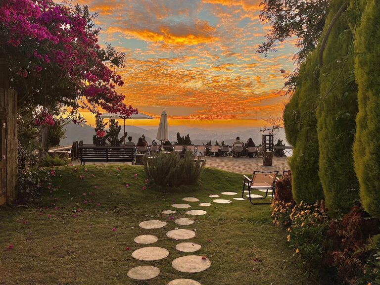 Tháng 3 Đà Lạt (phần 2): Những quán cafe view đỉnh đang được săn đón