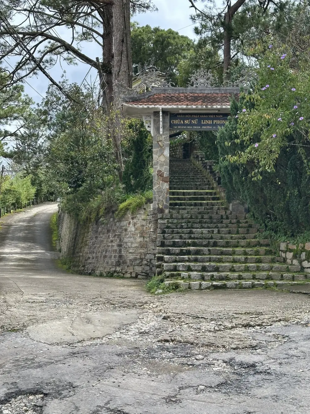 chua su nu linh phong da lat ngoi chua yen binh giua rung thong co kinh 7
