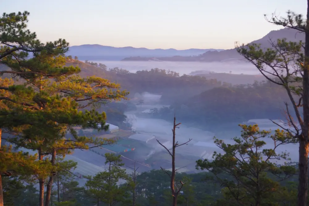 doi mang lin da lat co gi hap dan 2