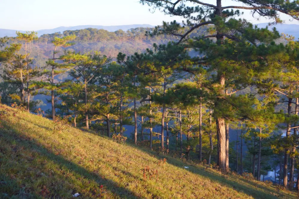 doi mang lin da lat co gi hap dan 5