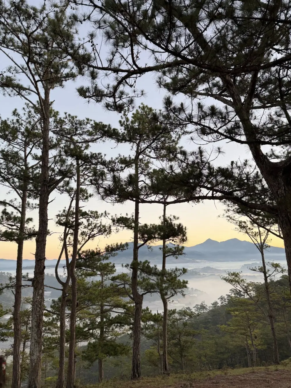 doi mang lin da lat co gi hap dan 6