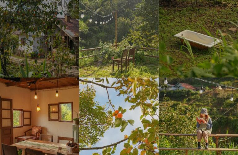 Quán cà phê Cây Cam Ngọt – Góc chill cực “thơ” ở Đà Lạt