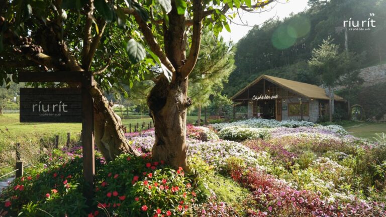 Ríu Rít Cà Phê Bên Suối – Góc trú ẩn giữa rừng thông Đà Lạt