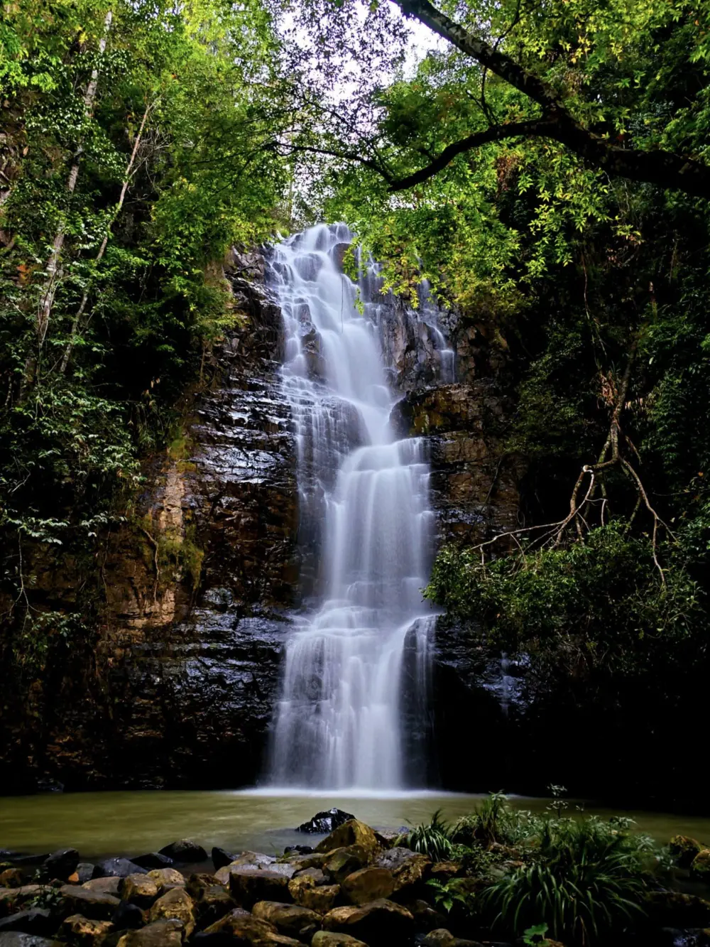 thac da hiong da lat thac 7 tang hoang so giua nui rung 3