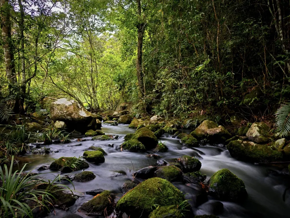 thac da hiong da lat thac 7 tang hoang so giua nui rung 4