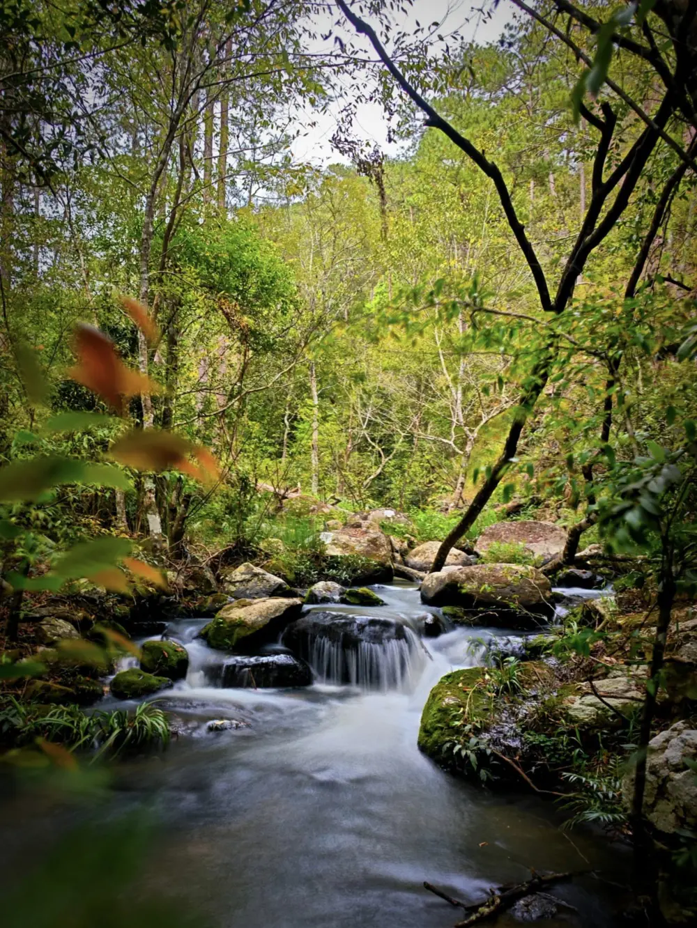 thac da hiong da lat thac 7 tang hoang so giua nui rung 5