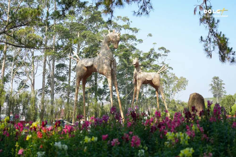 thung lung tinh yeu thay doi ra sao sau nhieu nam 8