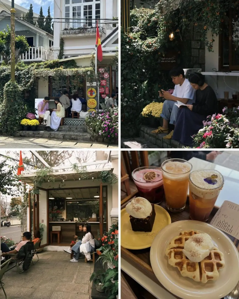 Cafe sáng ở Đà Lạt: 5 địa chỉ chill nhẹ nhàng để bắt đầu ngày mới 5 cafe sang o da lat 5 dia chi chill nhe nhang de bat dau ngay moi 5