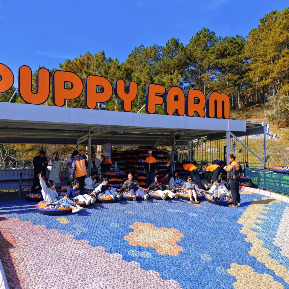 puppy farm da lat trai nghiem tron ven tu vui choi den tham quan va chup anh 12