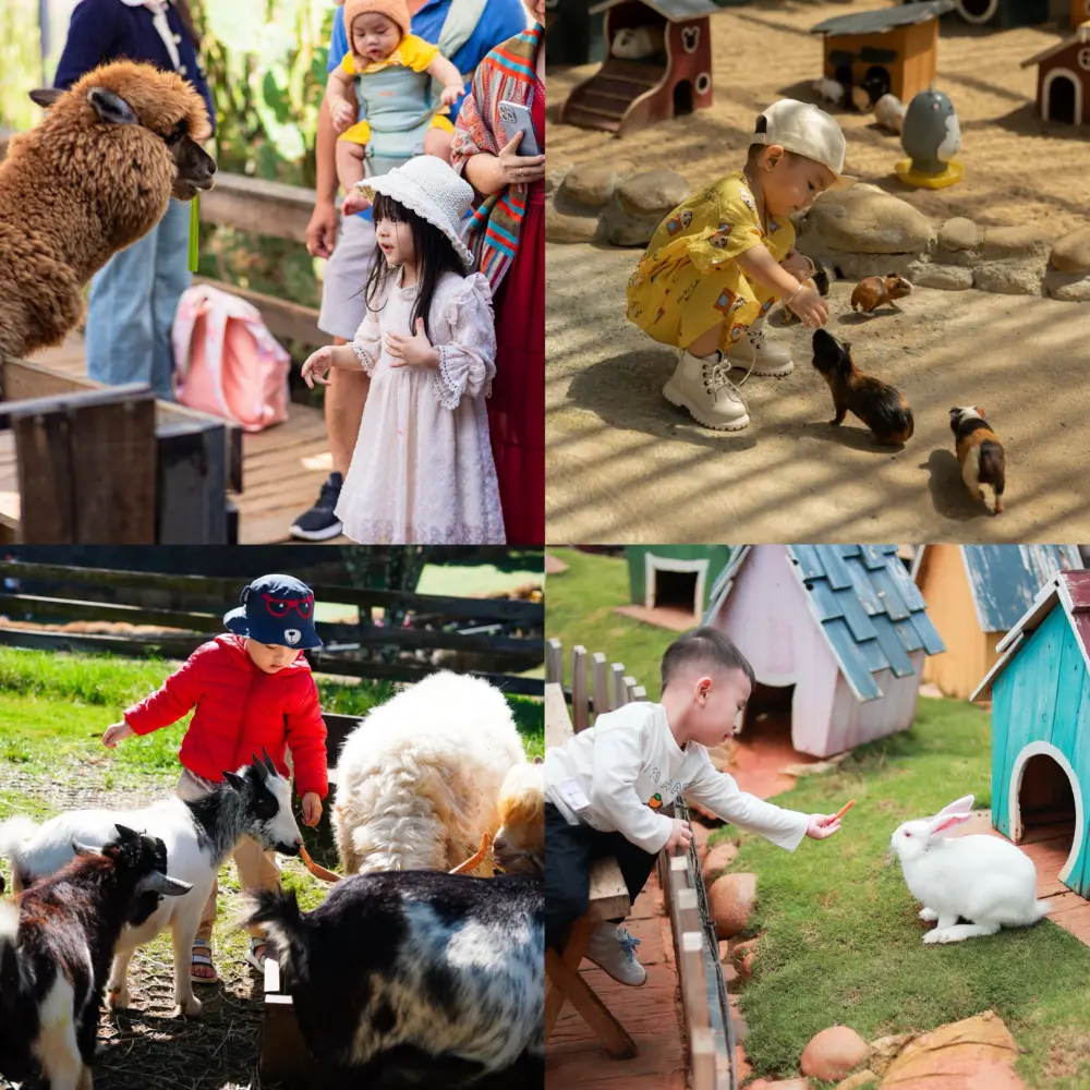 top dia diem co dong vat cho tre em tham quan o da lat 1