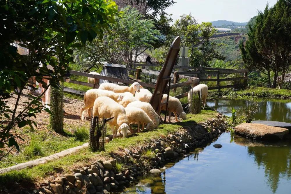 Top địa điểm có động vật cho trẻ em tham quan ở Đà Lạt