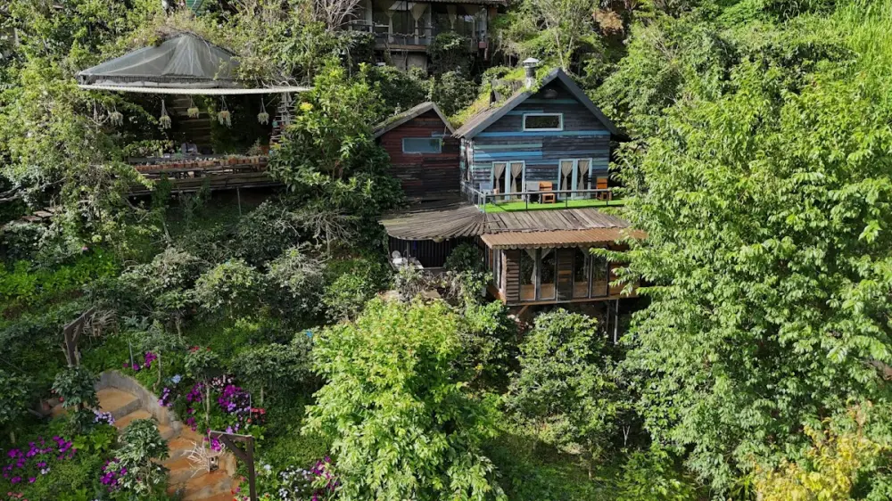 Top homestay Đà Lạt dành cho người thích sống chậm giữa thiên nhiên