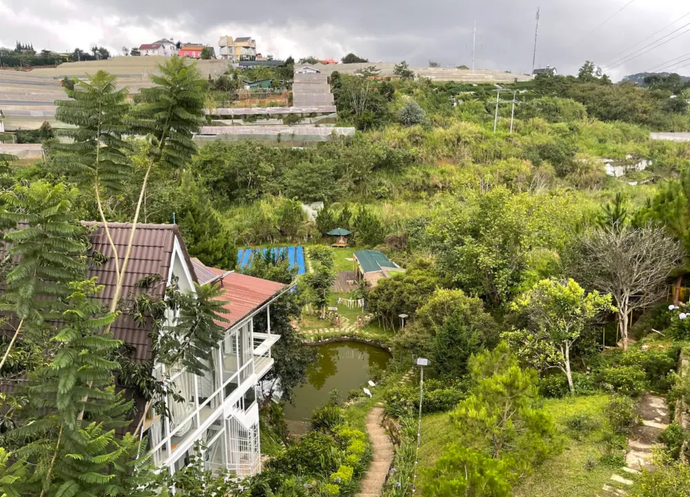 top homestay da lat danh cho nguoi thich song cham giua thien nhien 14