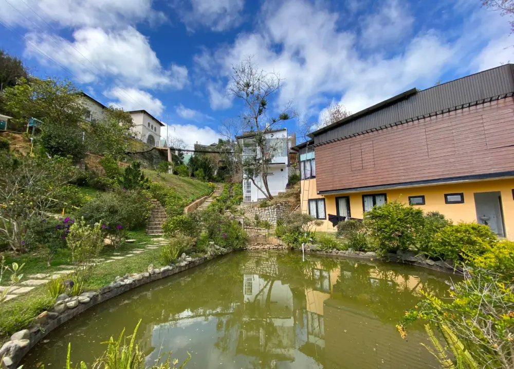 top homestay da lat danh cho nguoi thich song cham giua thien nhien 15