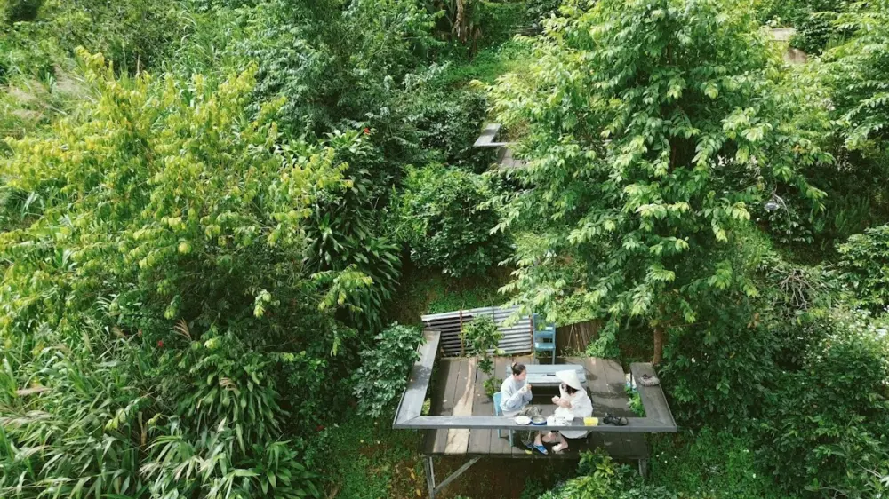 top homestay da lat danh cho nguoi thich song cham giua thien nhien 8