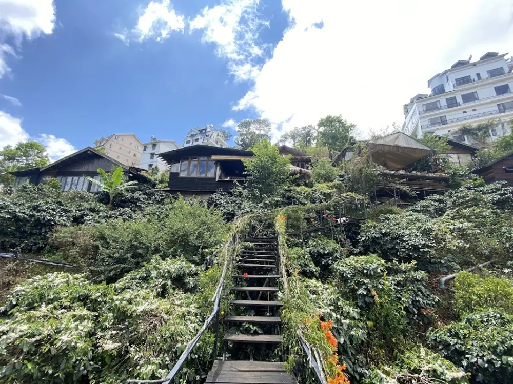 top homestay da lat danh cho nguoi thich song cham giua thien nhien 9