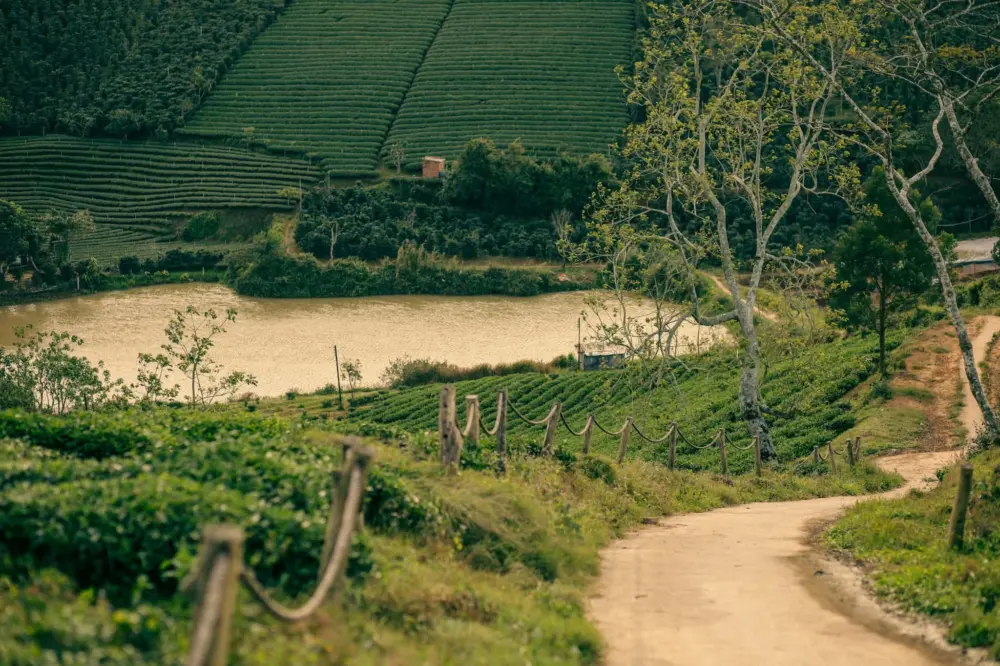 doi che cau dat da lat 5