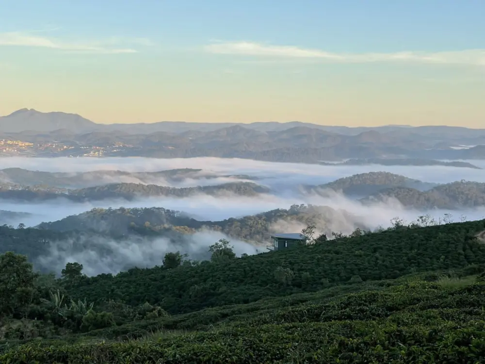 doi che cau dat da lat